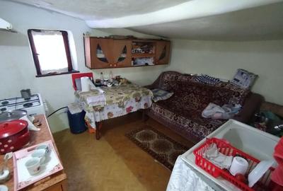 Teren pentru casă verde langa promenada din Ovidiu - 13