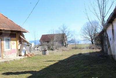 Casă cu 2 camere cu Teren 750 Mp în Telechia - 3