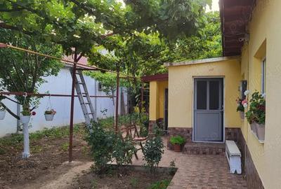 Casă cu 4 camere în Coiciu - 3