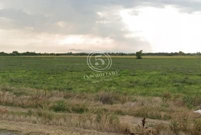 Braila- Teren de Vanzare format din 16 loturi- 19503 mp - 5