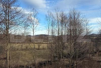 Casă individuală cu 3 camere cu Garaj în Tohănița - 13