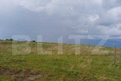 Teren de 1249 mp, în Copăceni - 5