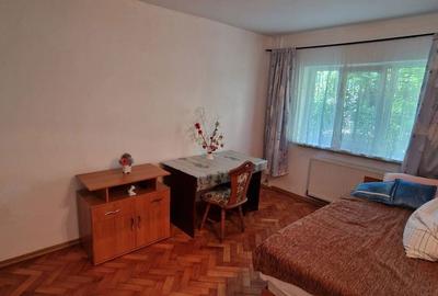 Apartament cu 2 camere semidecomandat în Girocului - 12