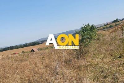 Oportunitate investitie. Oarda de Jos, 16 parcele de 490 mp Oportunitate investitie. Oarda de Jos, 16 parcele de 490 mp - 4