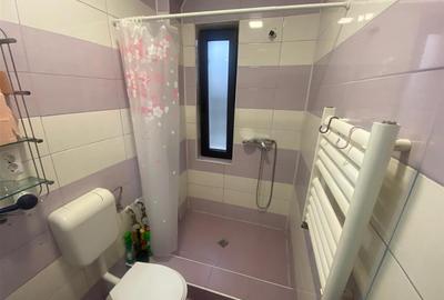 Garsonieră decomandată în Băile Felix - 5