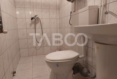 Casa individuala 3 camere 116 mpu 820 teren liber curte si gradina - 10