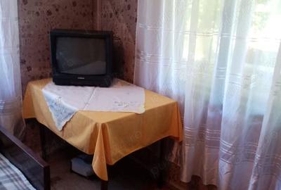 Vand 2 case si gradina Vand 2 case si gradina - 3
