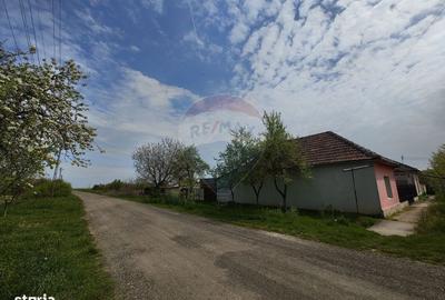 Casă cu 3 camere în Mailat - 6