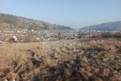 Teren de 3000 mp, în Curtești - 5