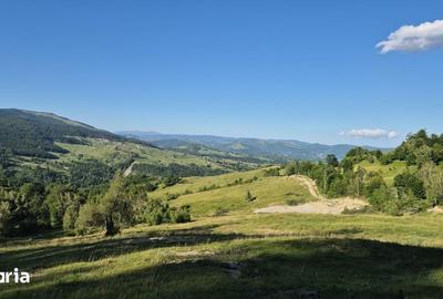 Teren de 13000 mp, în Talea - 10