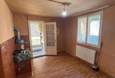 Casă cu 3 camere cu Teren 300 Mp în Valea Borcutului - 9