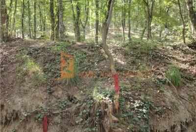 Spațiu comercial, în Sărata - 3