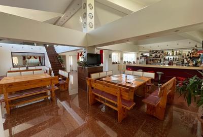 1 Decembrie, vila cu 12 camere si restaurant - 8