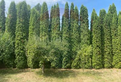 DE VANZARE Vila de vacanta in Pucioasa /Dambovita - 42