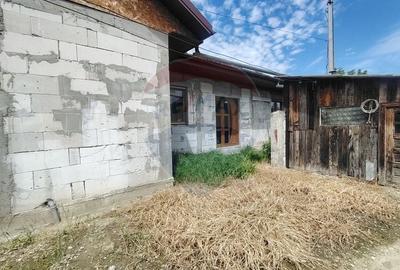 Casă individuală cu 3 camere cu Teren 1326 Mp în Vest - 3