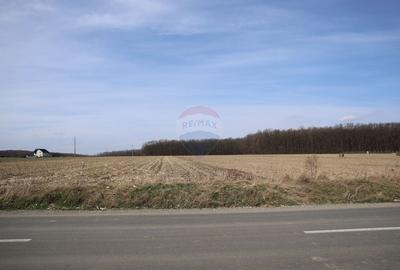 Teren agricol extravilan de 9740 mp, în Nord - 1