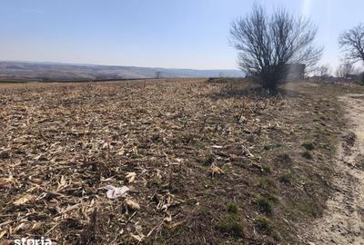 Teren de 6500 mp, în Grănicești - 3