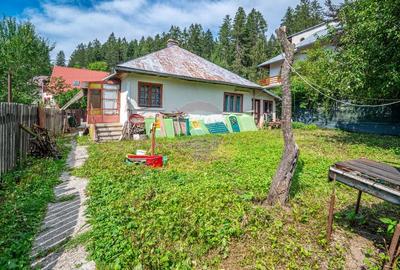 Teren casa de vacanta in Busteni - langa padure- vedere spre Bucegi - 21