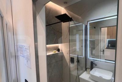 Apartament de vanzare, cu o camera, 55 mp, zona Centrul Ist - 12