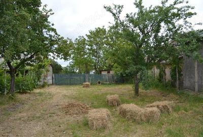 Casă cu 5 camere cu Teren 1447 Mp în Surdila-Greci - 4