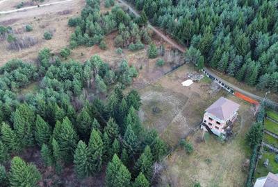 Teren Sacele / Strada Valea Larga 2000 mp - 2