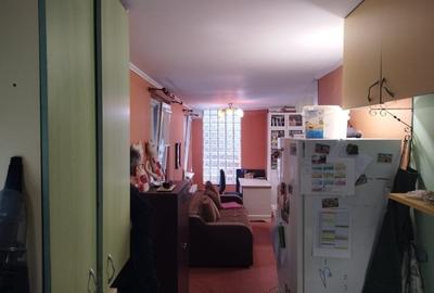 Casa cu 5 dormitoare, 170 mp utili, 500 mp teren, Podu de Fier - 22