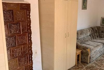 Casă cu 2 camere în Cricău - 8