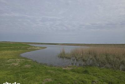 Teren de 230000 mp, în Reviga - 2