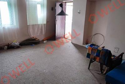 Casă individuală cu 3 camere în Bixad - 17