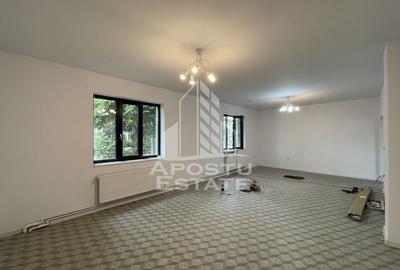Casa pentru birouri si alte activitatii, 70 mp, Zona Take Ionescu - 3