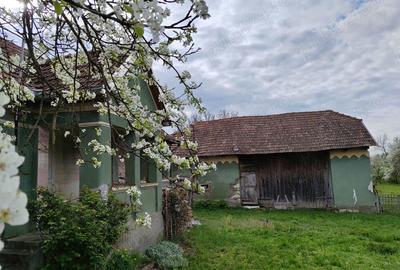 De vanzare doua case parinte?ti pe acela?i teren, in Ca?eiu, jud. Cluj De vanzare doua case parinte?ti pe acela?i teren, in Ca?eiu, jud. Cluj - 2