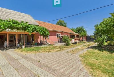 Casă cu 2 corpuri independente în Aradul Nou - 21