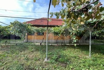 Casă cu 3 camere cu Teren 1173 Mp în Debarcader - 7