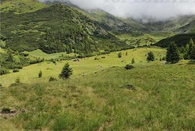 SUPER OPORTUNITATE, DE VANZARE O PROPRIETATE SPECIALA, MUNTE - 16