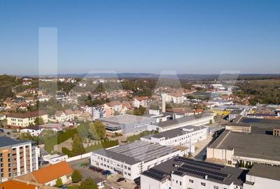 Complex Industrial de Vanzare – Zona Industriala, Cisnadie, Sibiu - 2