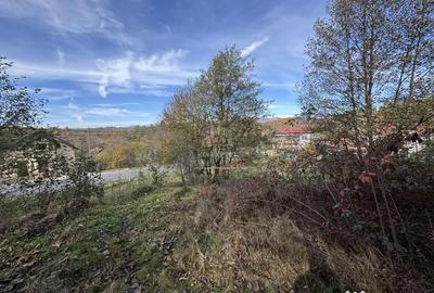 Teren de 13167 mp, în Bughea de Sus - 6