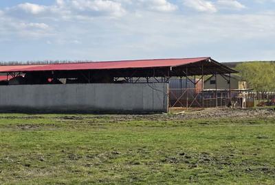 Teren de 60000 mp, în Stoenești - 3