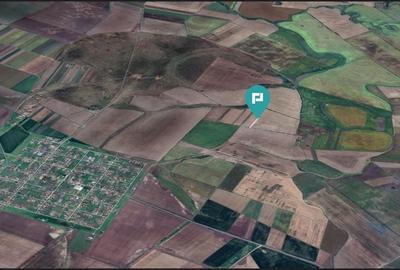 Teren agricol 3200 mp în Caporal Alexa - 2