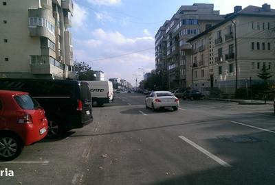 Spațiu comercial, de 23 mp, în Frații Golești - 1