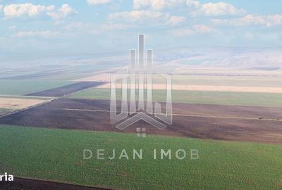 Teren de 5 mp, în Moacșa - 5