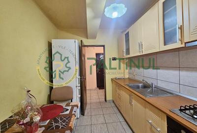 Apartament cu 2 camere decomandat, mobilat în Turnișor - 1