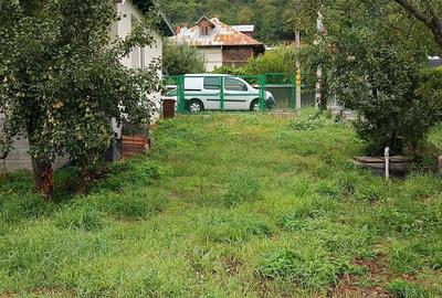 Casă cu 3 camere cu Teren 860 Mp în Târgu Ocna - 1