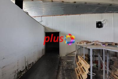 Spatiu industrial - 580 mp  # plus-imo.ro - 5