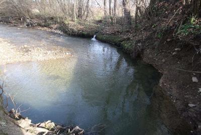 Proprietar vand casa de vacanta in Muntii Poiana Ruscai - 4