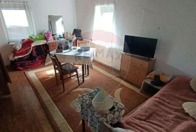 Casă cu 3 camere cu Teren 3000 Mp în Copalnic - 3