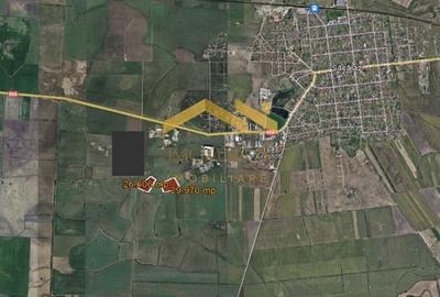 Sacalaz-Zona Industrială II-Disponibilitate Imediata - 3