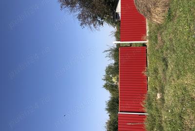 Casă cu 3 camere în Sacoșu Mare - 6