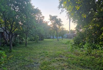 Casa 3 camere libera la vanzare TARLUNGENI - 13