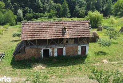 Teren de 6200 mp, în Cicănești - 5