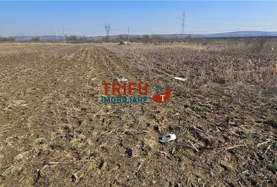 Teren de 6400 mp, în Central